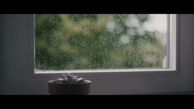 Peaceful Rainy Vibes